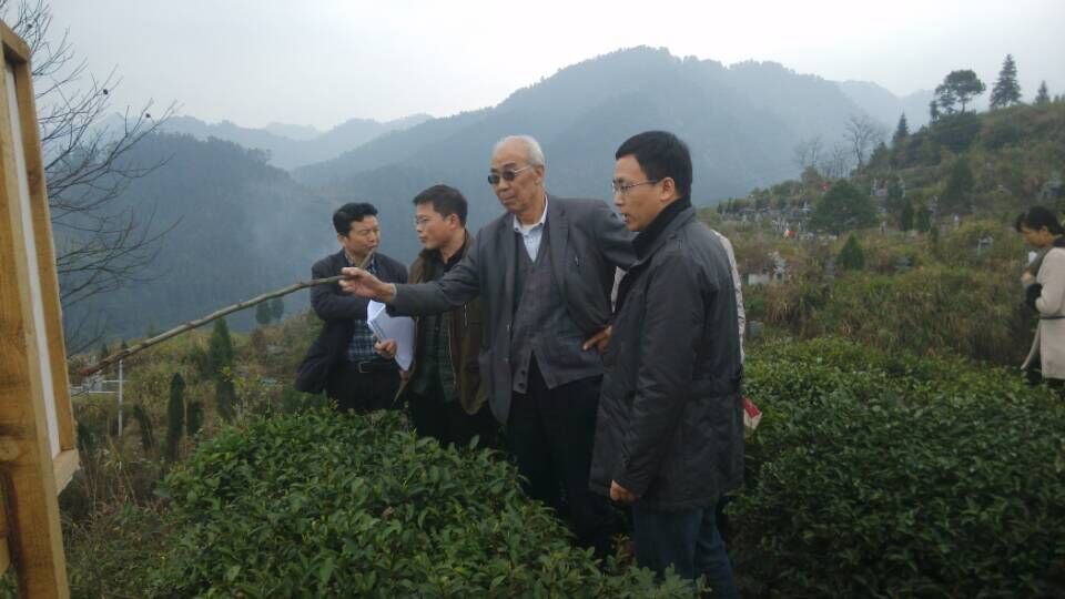 公司邀请滑坡防治专家莅临项目施工现场进行技术指导