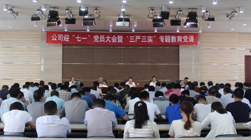 公司召开迎“七一”党员大会暨“三严三实”专题教育党课