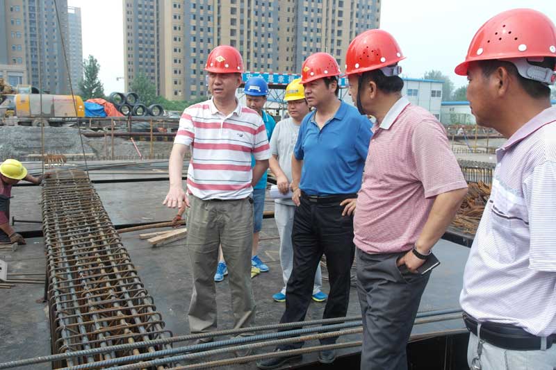 李智副书记莅临公司研究中心建设项目检查工作